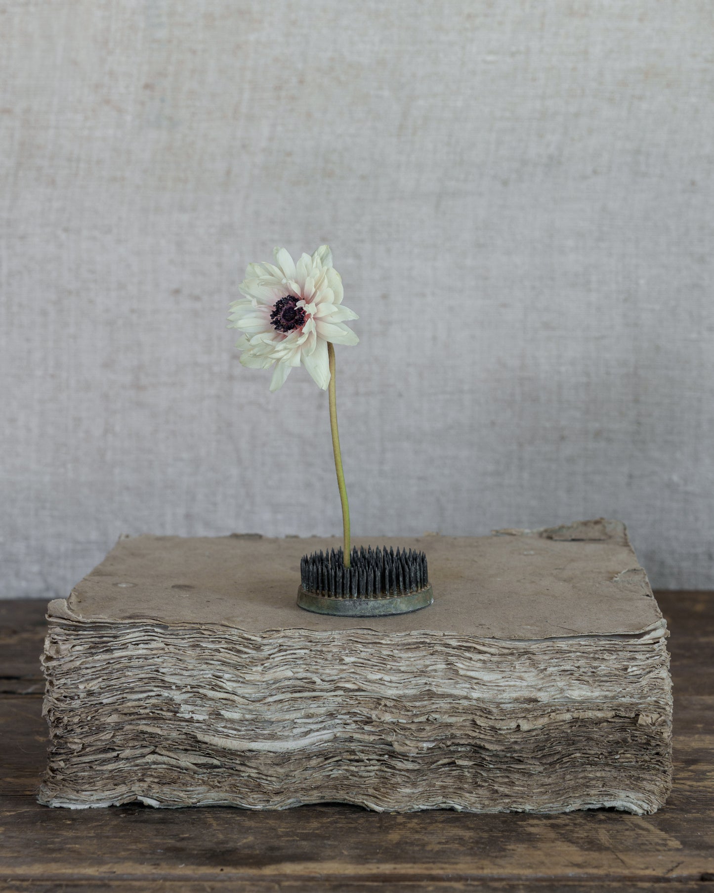 Le grand piqué fleur
